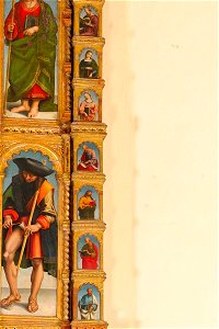 Signorelli Luca (1507), Pilastrino destro, Senigallia