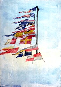 Signal flags RMG PU9891
