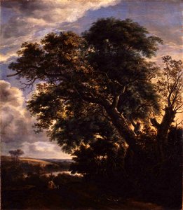 Simon de Vlieger - Landscape with River and Trees - WGA25254