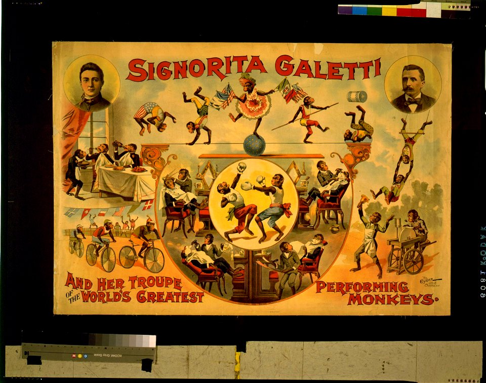 Signorita Galetti and her troupe of the world's greatest performing monkeys LCCN2014635888