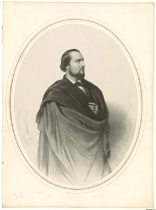 Signor Tamberlick (Enrico) LCCN2003680041