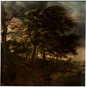 Simon de Vlieger - Forest