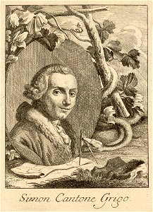 Simon Cantone Grigo