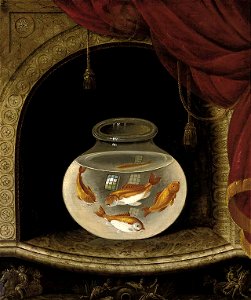 Sillett - Goldfish