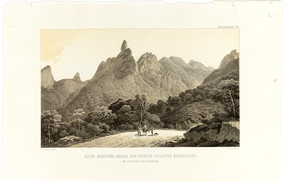 Silva Montium Serra dos Orgâos Declivia Obumbrans in Prov. Rio de Janeiro, da Coleção Brasiliana Iconográfica