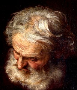 Simone Cantarini (1612-1648) - Head of a Bearded Old Man - 872082 - National Trust