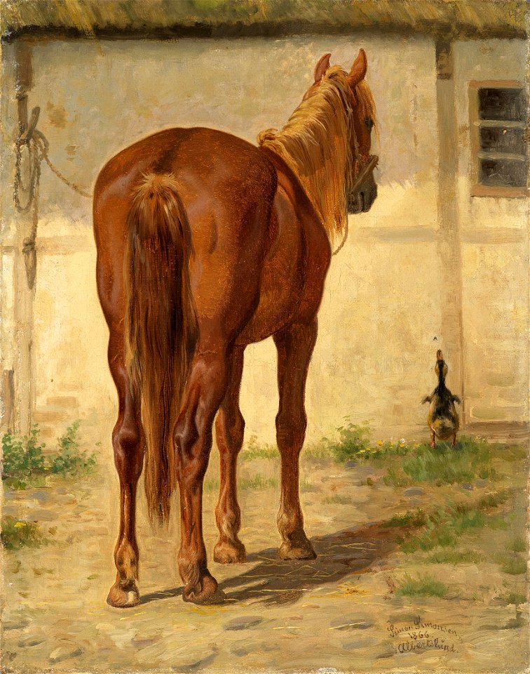 Simonsen Pferd Rückenansicht