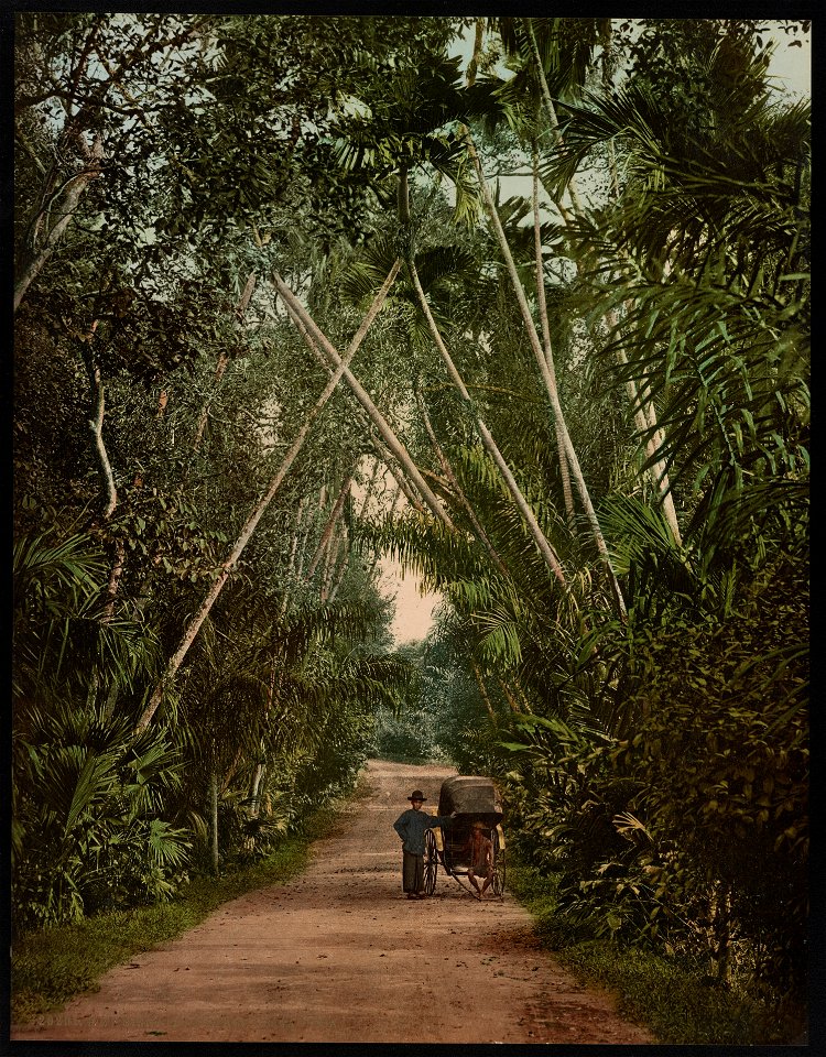 Singapore. Street in Tanglia LCCN2017657639