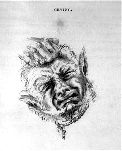 Sir C. Bell, Essays on Expression; man crying Wellcome L0022819