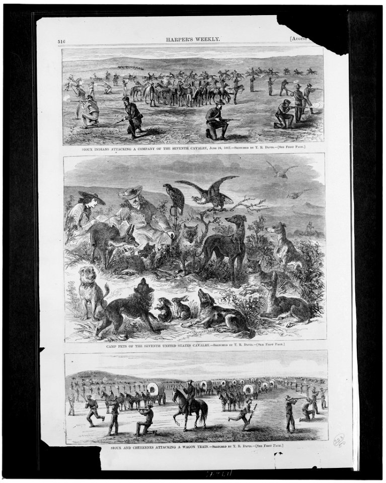 Sioux Indians attacking a company of the Seventh Cavalry, June 24, 1867 Camp pets of the Seventh United States Cavalry ; Sioux and Cheyennes attacking a wagon train - - sketched by T.R. LCCN96521138