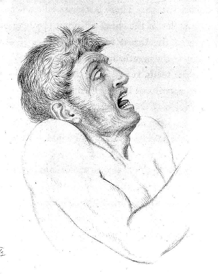 Sir Charles Bell, Essays on Expression; Wellcome L0021921