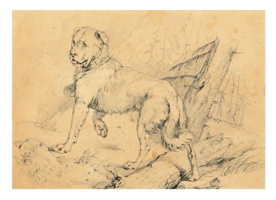 Sir edwin henry landseer ra study for alpine mastiffs reanimating a di121531)