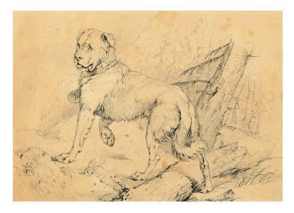 Sir edwin henry landseer ra study for alpine mastiffs reanimating a di121531)