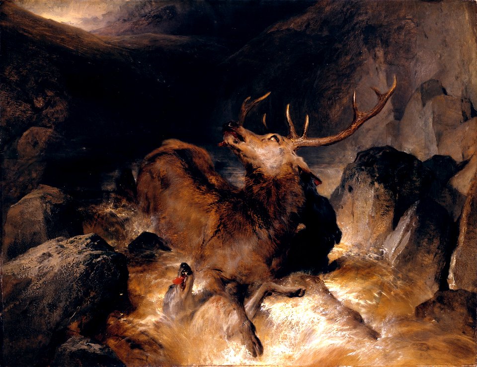 Sir Edwin Henry Landseer - Deer and Deer Hounds in a Mountain Torrent - Google Art Project