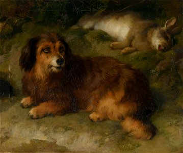 Sir Edwin Landseer (1803-73) - Boz - RCIN 403058 - Royal Collection