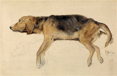 Sir Edwin Henry Landseer - Study of a Dog Lying Down - B2014.5.17 - Yale Center for British Art