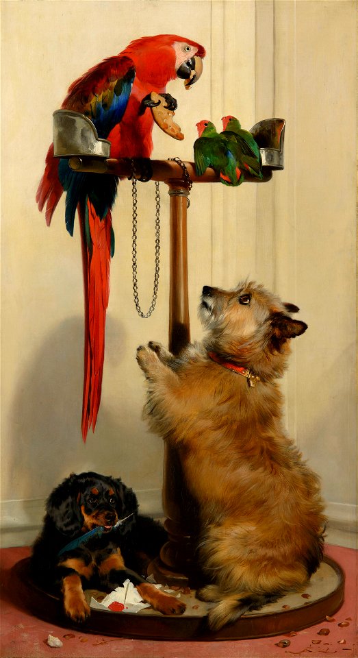 Sir Edwin Landseer (1803-73) - Islay, Tilco, a Macaw and two Lovebirds - RCIN 403194 - Royal Collection