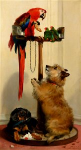 Sir Edwin Landseer (1803-73) - Islay, Tilco, a Macaw and two Lovebirds - RCIN 403194 - Royal Collection