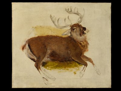 Sir Edwin Henry Landseer - Dying Stag - 2018.289.5 - Metropolitan Museum of Art