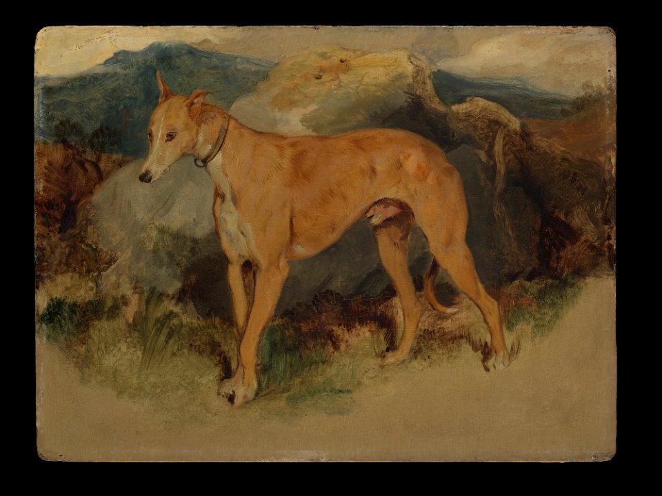 Sir Edwin Henry Landseer - A Deerhound - 2018.289.4 - Metropolitan Museum of Art
