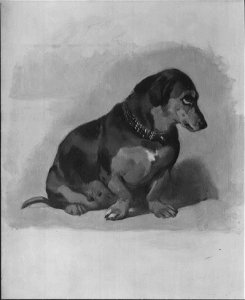Sir Edwin Landseer (1803-73) - 'Sewa' - RCIN 400591 - Royal Collection