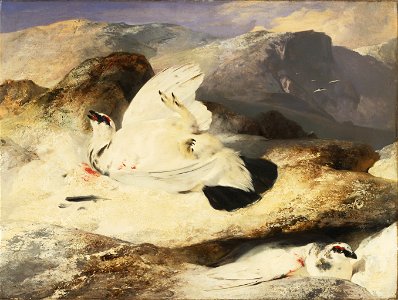 Sir Edwin Landseer, English - Ptarmigan in a Landscape - Google Art Project