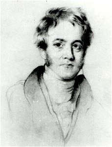 Sir John Herschel, by Henry William Pickersgill (detail)