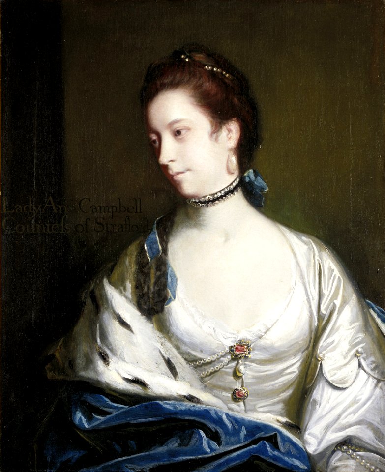Sir Joshua Reynolds - Anne, Countess of Strafford (c. 1715 - 1785) - 99.63 - Minneapolis Institute of Arts