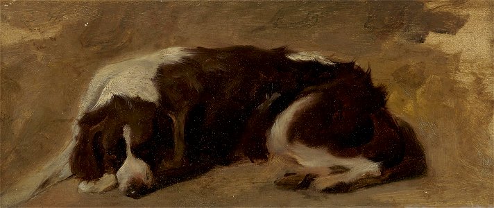 Sir Edwin Henry Landseer - A Spaniel Lying Down - B2014.5.18 - Yale Center for British Art