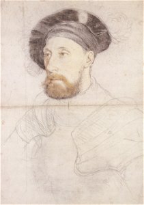 Sir Nicholas Carew, by Hans Holbein the Younger. Free illustration for personal and commercial use.
