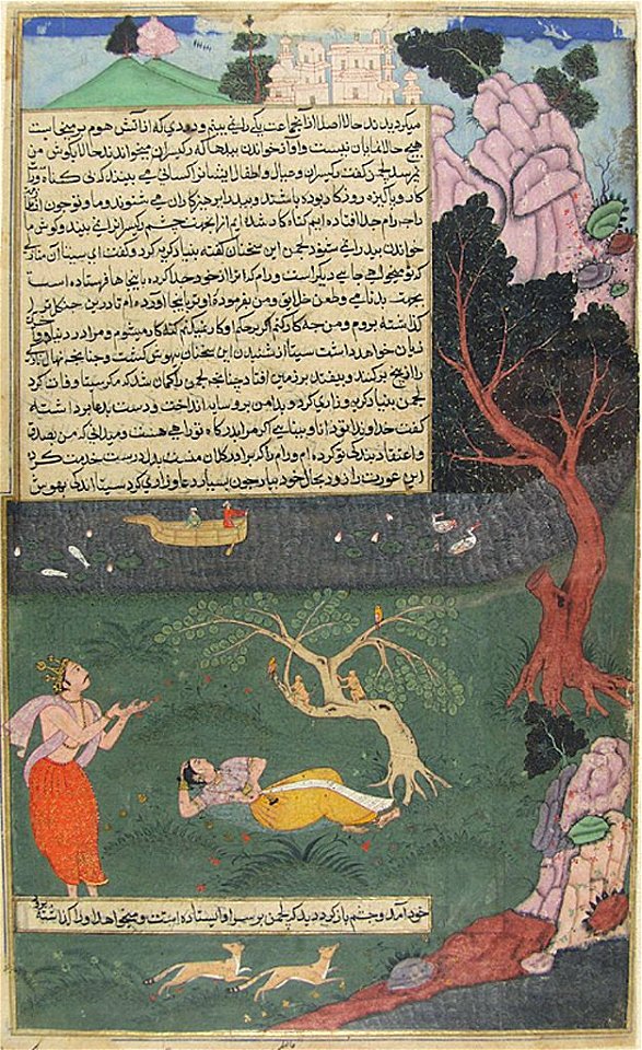 Sita Discovered