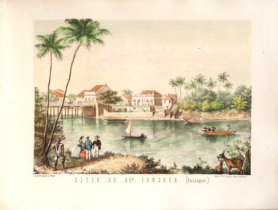 Sitio do Dor Fonseca (Passagem), da Coleção Brasiliana Iconográfica