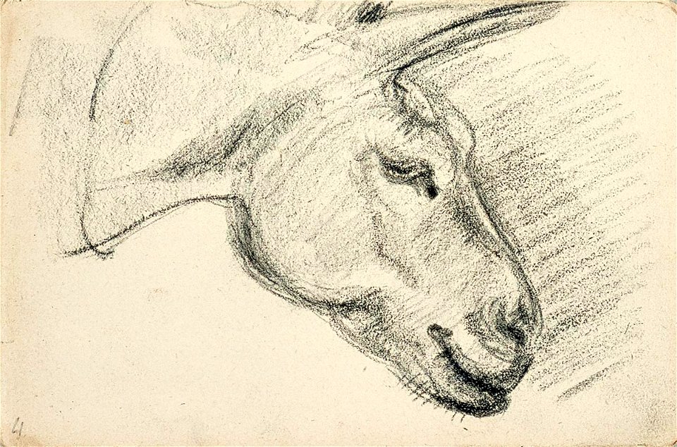 Sketchbook 28, Head of a Donkey by Theo van Doesburg Centraal Museum AB4121-D
