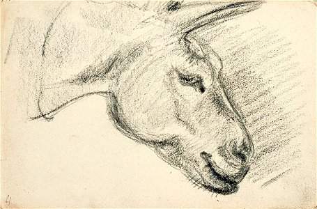 Sketchbook 28, Head of a Donkey by Theo van Doesburg Centraal Museum AB4121-D