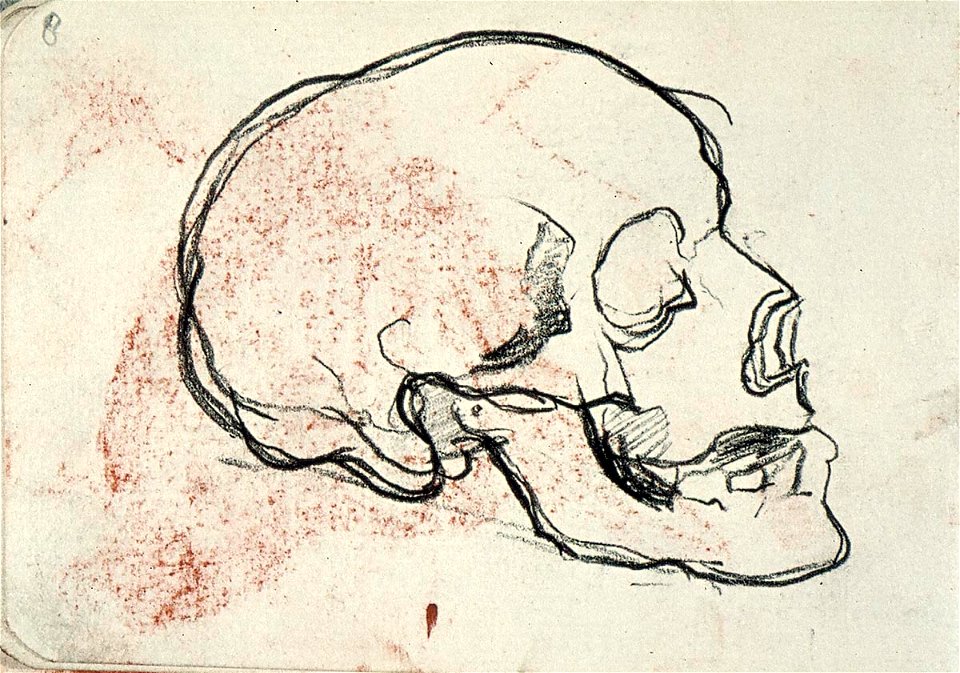 Sketchbook 35, Skull by Theo van Doesburg Centraal Museum AB4132-I