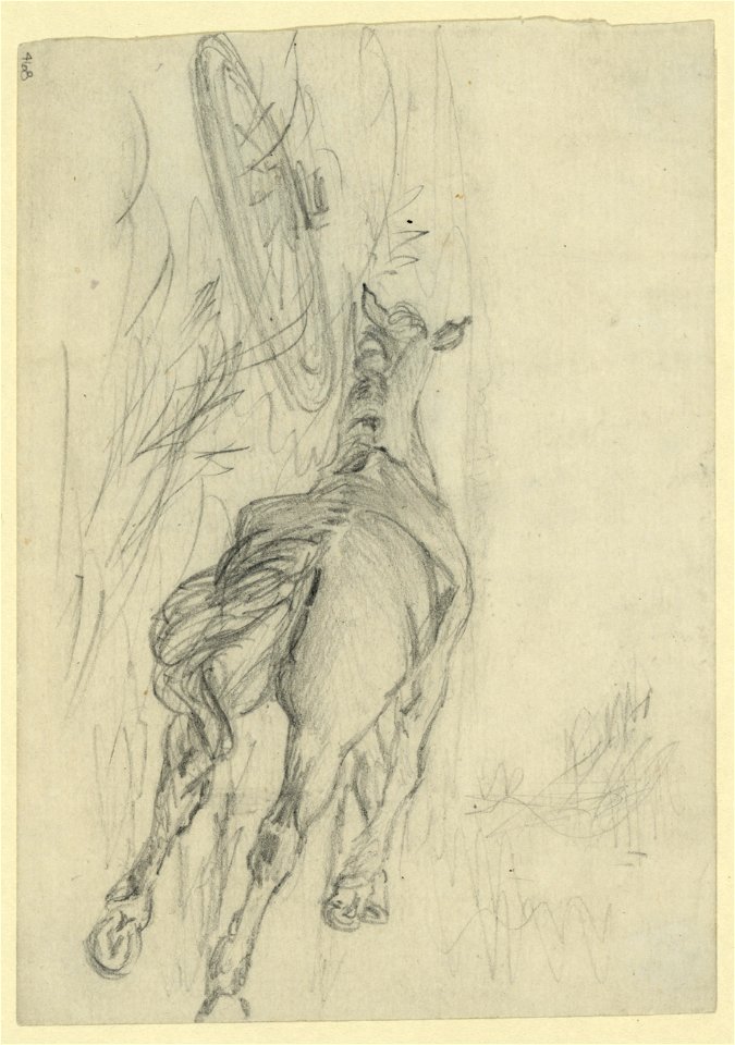 Sketch of a dead horse LCCN2004660874
