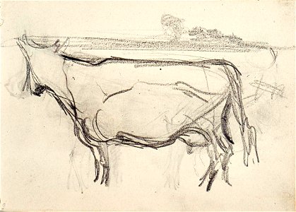 Sketchbook 20, Cow by Theo van Doesburg Centraal Museum AB4139-K