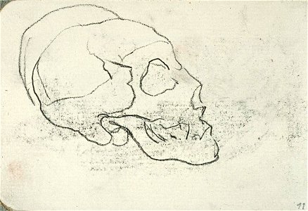 Sketchbook 35, Skull by Theo van Doesburg Centraal Museum AB4132-L