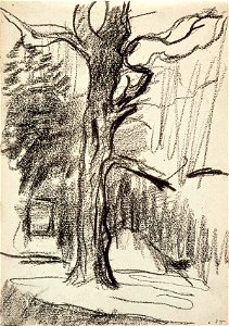 Sketchbook 20, Tree by Theo van Doesburg Centraal Museum AB4139-Q