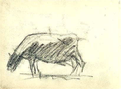 Sketchbook 23, Bull by Theo van Doesburg Centraal Museum AB4116-F