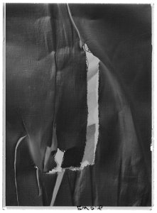Skjorta - Livrustkammaren - 53278-negative
