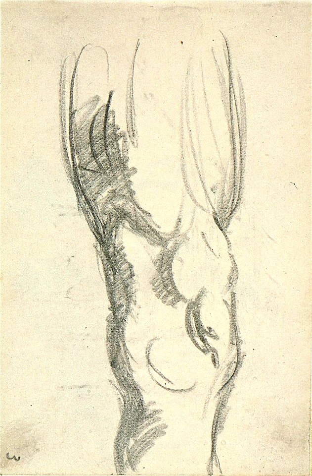 Sketchbook 38, Upper Leg by Theo van Doesburg AB4113-D