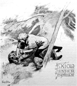 Skjold binder Bjørnen