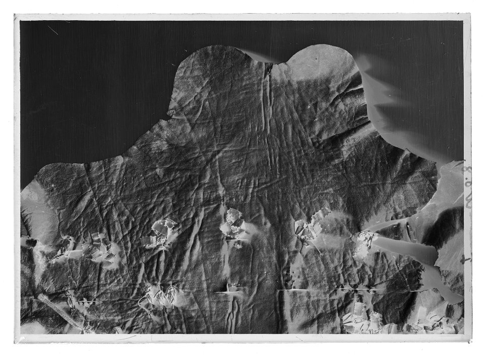Skinn - Livrustkammaren - 35507-negative