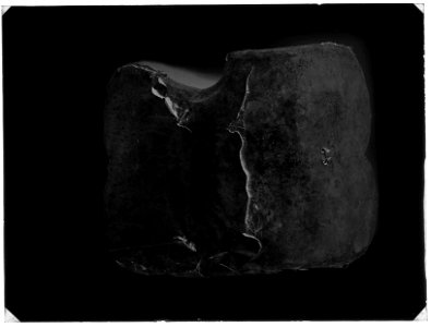 Sköld tartsche Banérs vapen - Livrustkammaren - 42838-negative