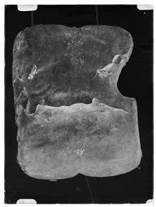 Sköld tartsche Banérs vapen - Livrustkammaren - 25701-negative