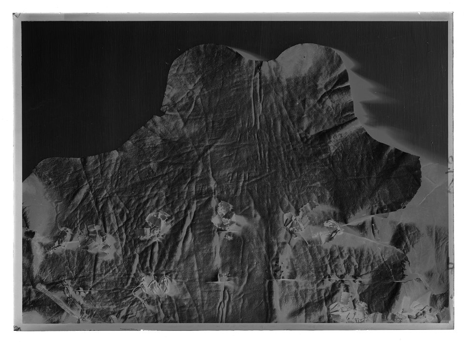 Skinn - Livrustkammaren - 26946-negative