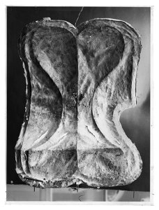 Sköld tartsche Banérs vapen - Livrustkammaren - 34329-negative