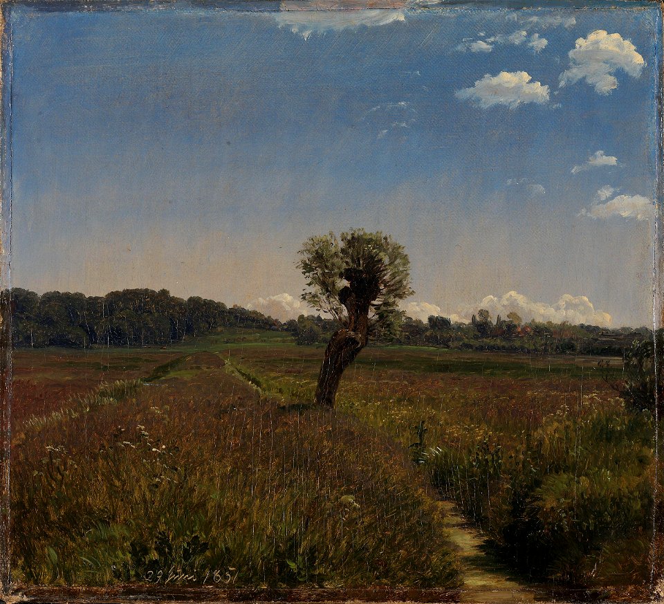 Peter Christian Thamsen ( P.C.) Skovgaard - Meadow with a Solitary Willow - NG.M.02840 - National Museum of Art, Architecture and Design