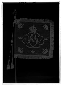 Skvadronstandar Borgerskapets kavalleri - Livrustkammaren - 35654-negative